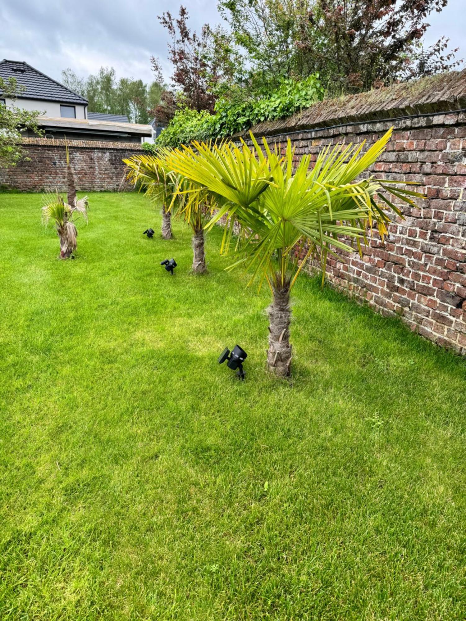 Ferienwohnung Gite Avec Piscine Lestrem Exterior foto